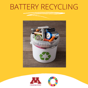 Center for Sustainability Battery Recycling