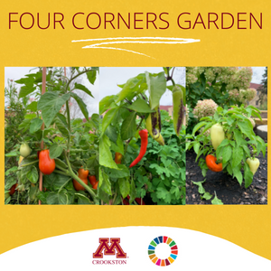 Center for Sustainability Four Corner Garden
