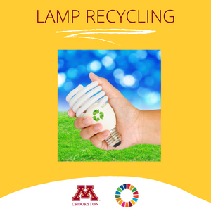 Center for Sustainability Lamp Recycling