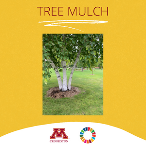 Center for Sustainability Tree Mulching