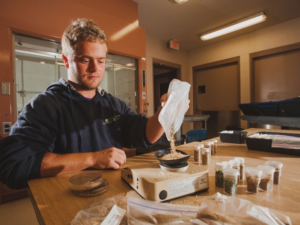 Student working with grain sampling tools in a lab