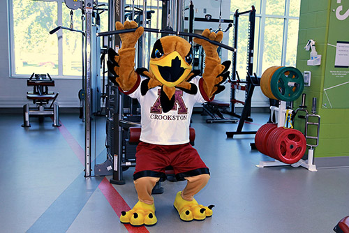 Regal the Eagle doing a lat pull-down