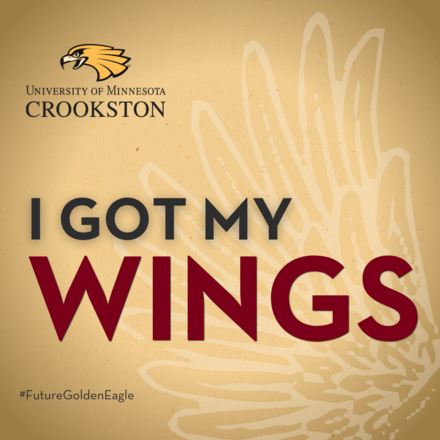 I got my wings (gold)
