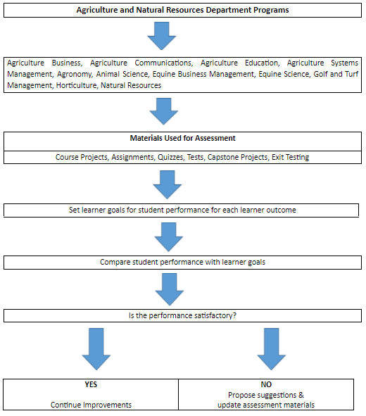 Agriculture and Natural Resources Department Assessment Process Diagram