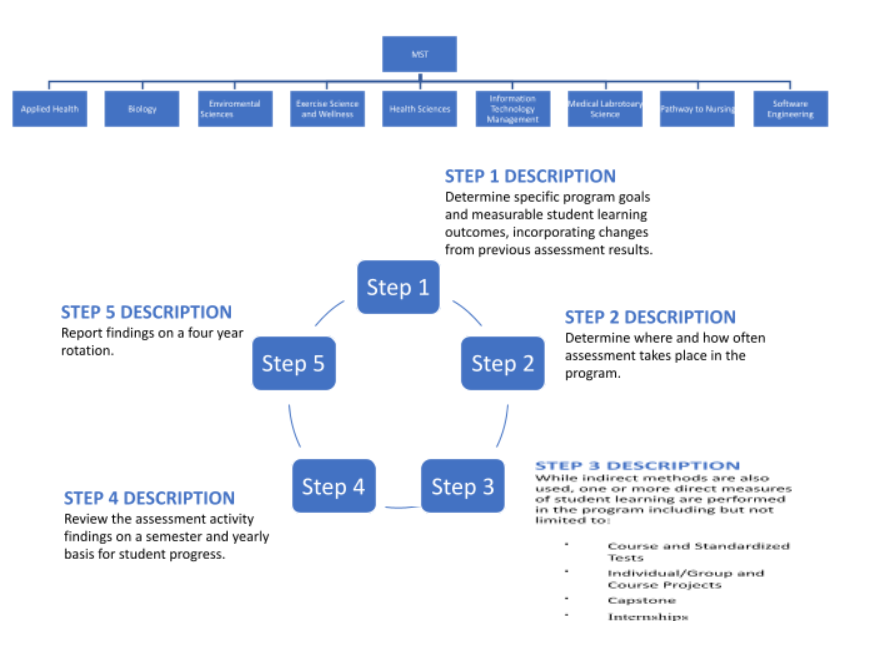 Math, Science and Education Department Assessment Process Diagram