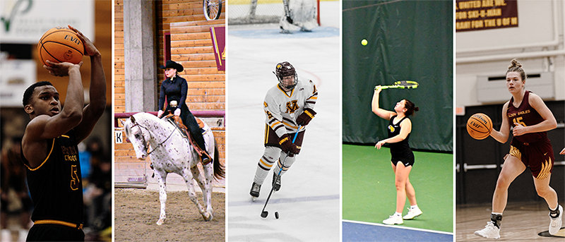 Golden Eagle Winter Athletes - men's and women's basketball, equestrian, hockey and tennis