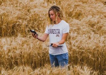 Student with a GPS device in a ripe wheat field