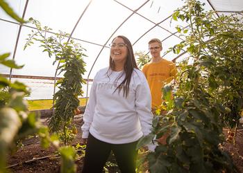 Students walking through the high tunnels on campus