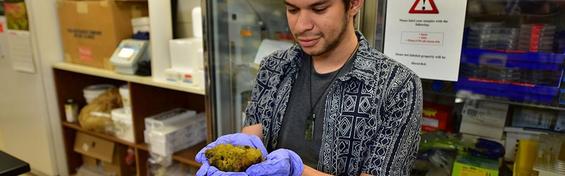 Steven Gonzalez holding a freshwater sponge