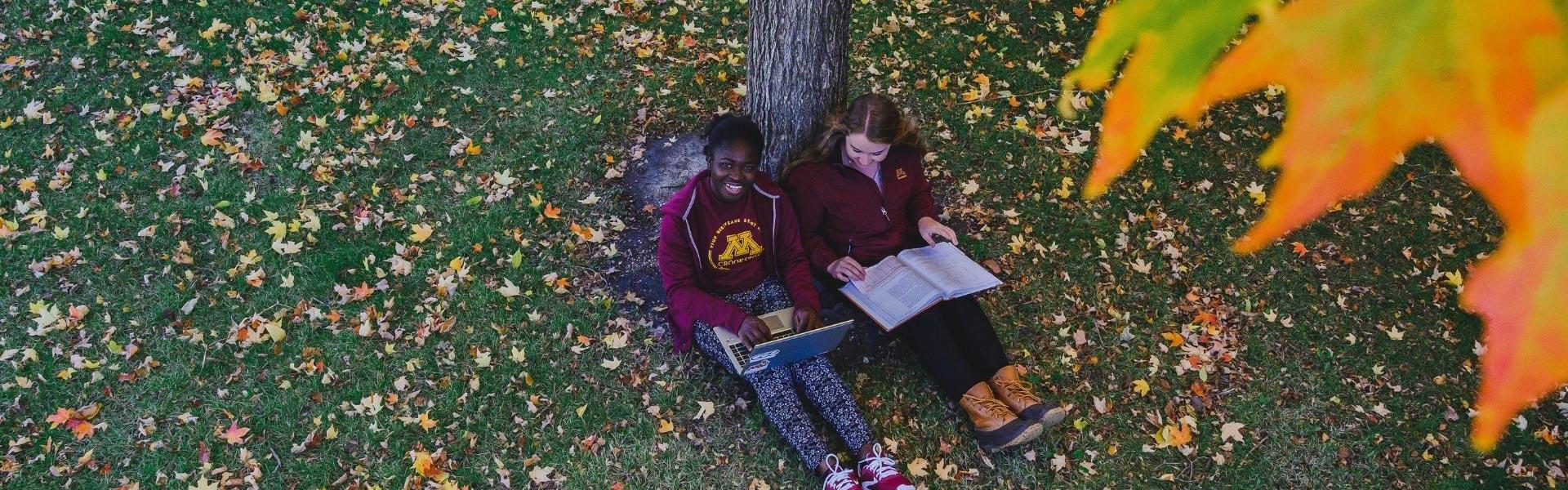 Two students sitting outside near a tree with falling fall colored leaves