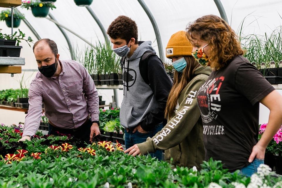 Faculty and students looking at plants in the greenhouse