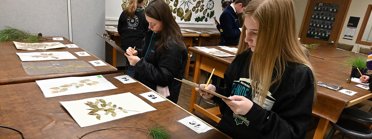 Students identifying leaves at ANRAD