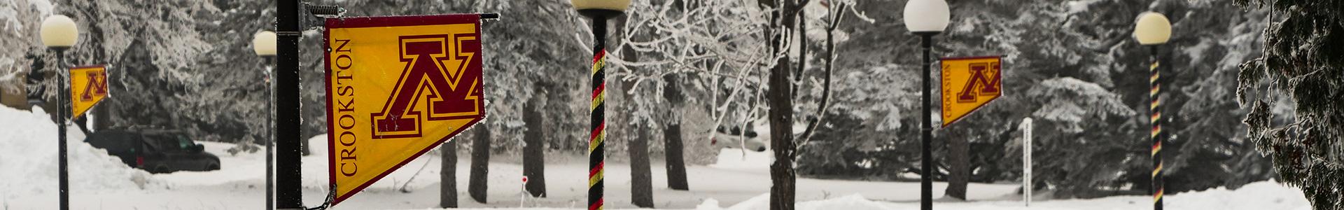 M Crookston flags on the Campus Mall during middle winter