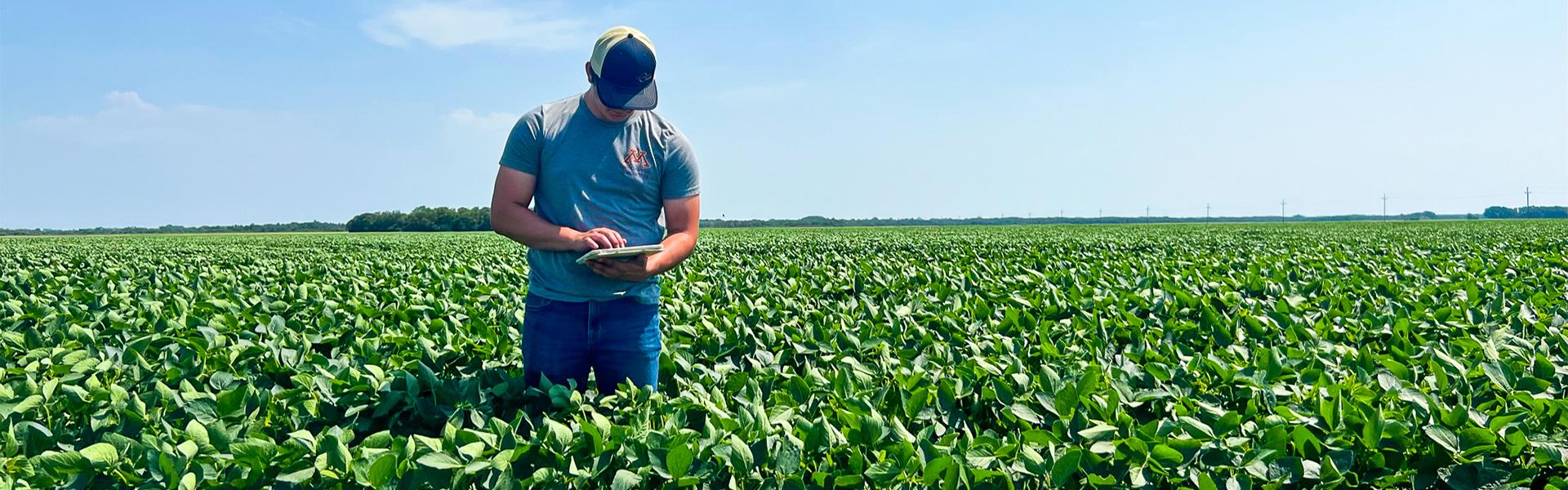 Student in a soybean field and an iPad taking notes