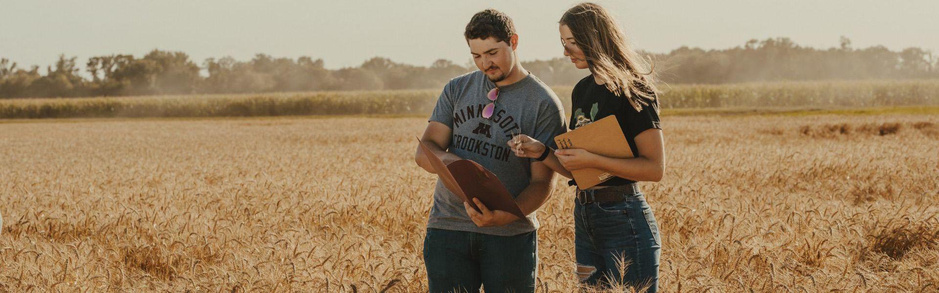 Two students in a ripe wheat field looking over folders with information.