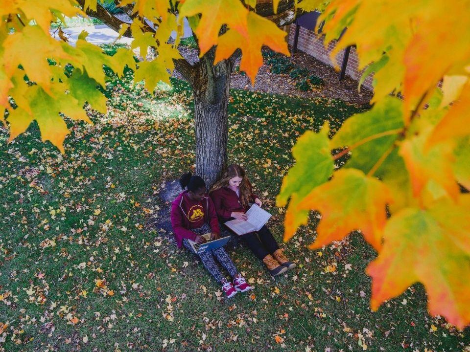 Two students sitting with books and a laptop under a beautiful fall tree.