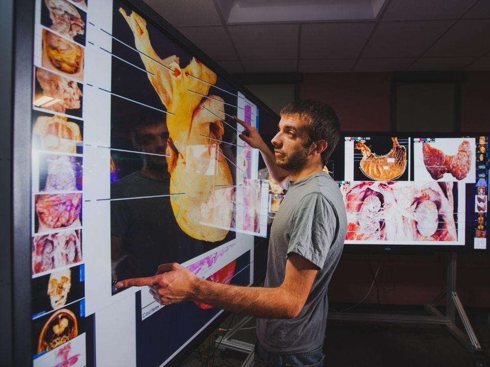 Student manipulating another set of health related images on a giant touch screen computer