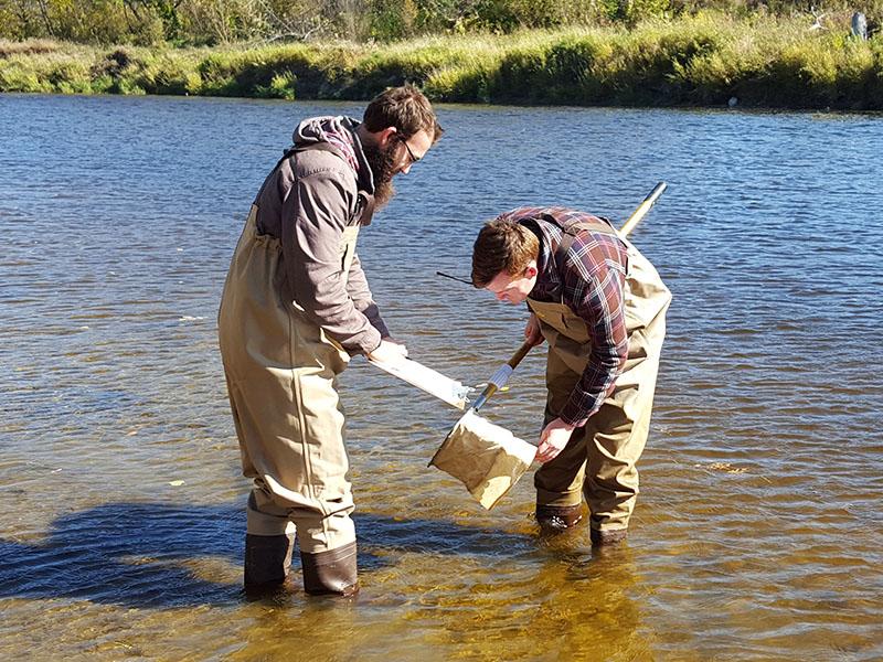 Two students in a shallow river taking readings during their research time
