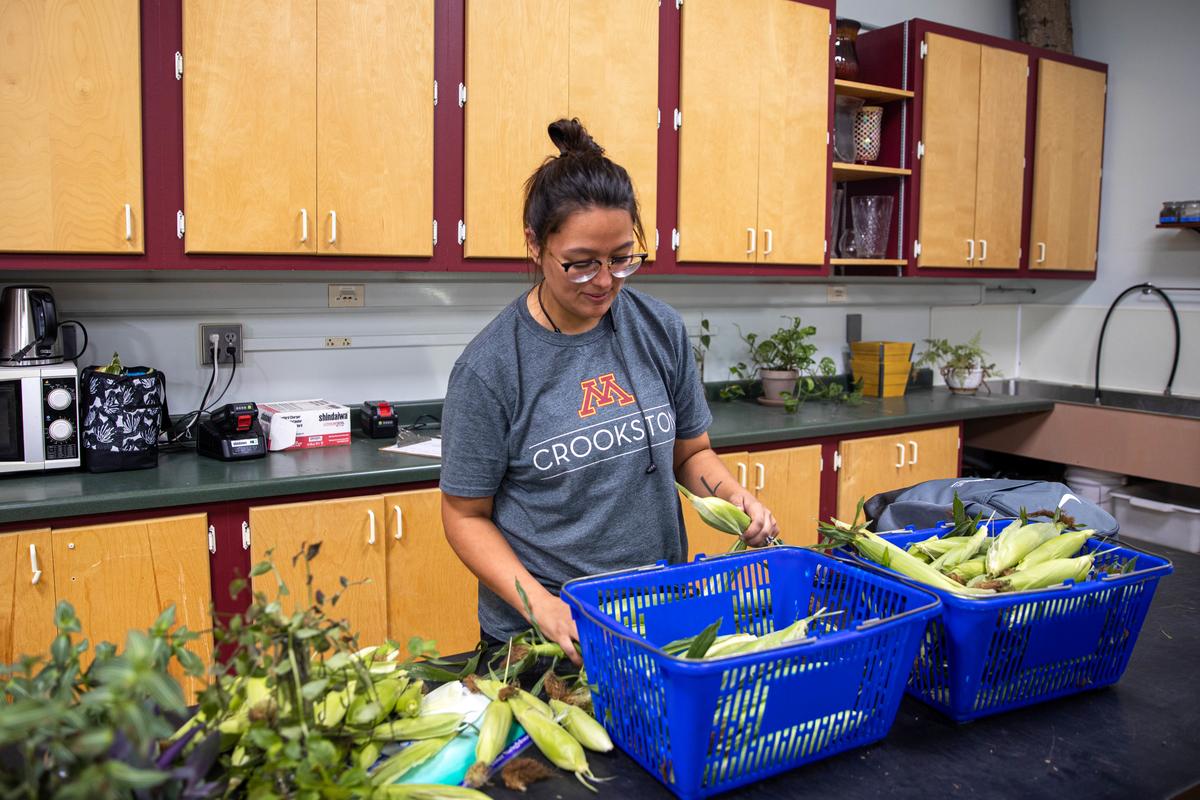 Student sorting produce in the Production Greenhouse