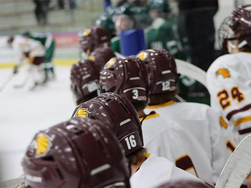 Golden Eagle men's hockey players on the bench