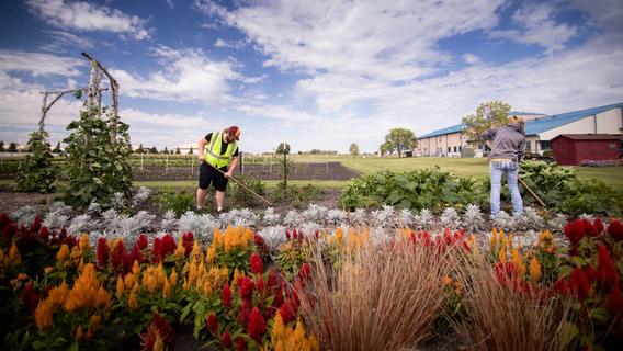 Students working in the campus garden on the north end of campus