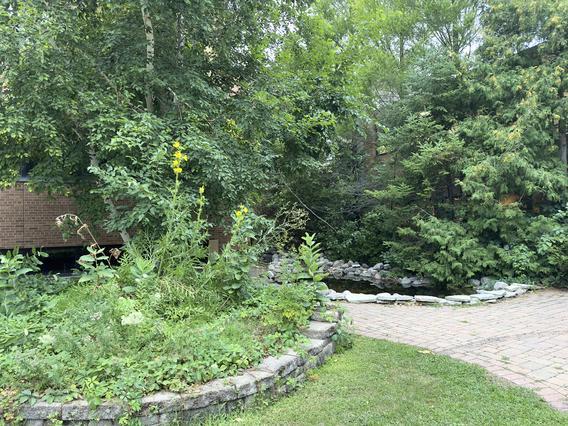 The U of M Crookston Nature Nook near Owen Hall during the summer.