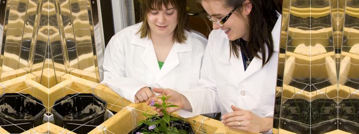 Student and faculty member checking plants in the Bergland Laboratory growth chamber