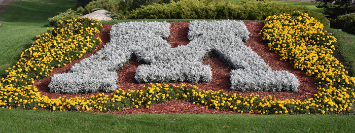 Campus entrance garden with a large U of MN M logo