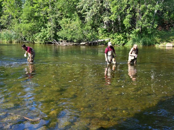 Students taking water samples in a local river