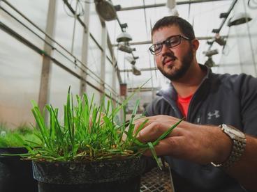 Student looking at a planter of grass in the greenhouse