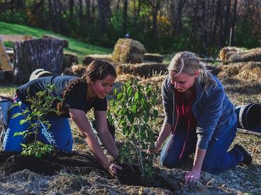 Two female students planting a tree 