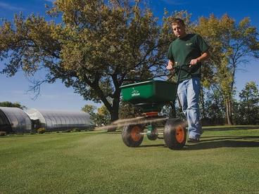 Student spreading grass seed on a golf green