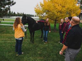 Students with faculty out petting a horse
