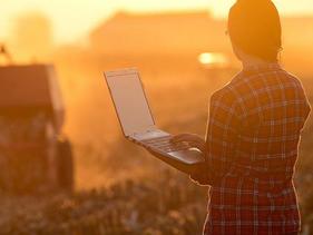 Woman in a dusty field in the late evening on a laptop computer