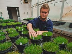 Another student checking different grass pots in a greenhouse