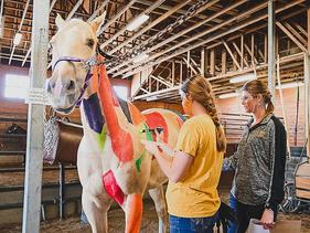 Student and faculty painting a white horse