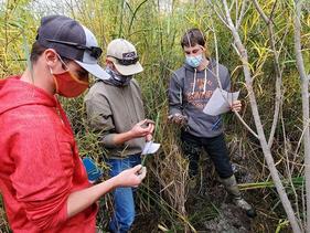 Students in a marsh doing some analysis